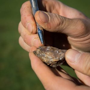 exploration-minerale-formation-gexplore